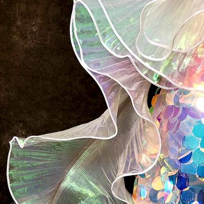 2PC Lace Trim Decor Ribbon Party Decor Transparent Iridescent Dress Accessories Fashion Large Wavy Sewing Fabric Pleated Ruffles