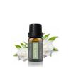 Cywinfow White Tea Essential Oil, 100% Natural Plant-Derived, 10ml (Standard Size)