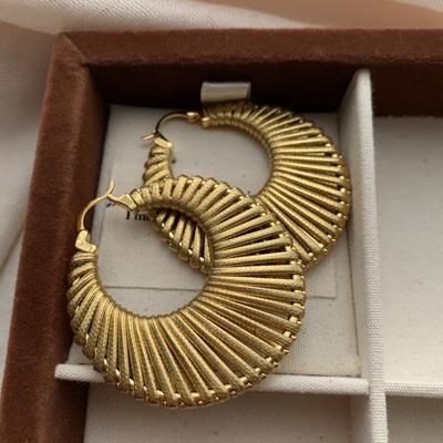 Large Ring Radial Braided Earrings Earrings Rope Winding Light Luxury Fashion Eye-catching High Sense Personality Unique Art
