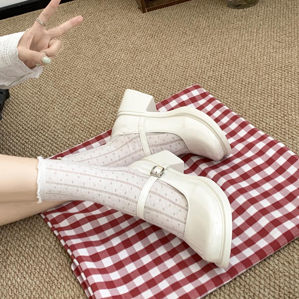 White French retro thick heel heightened small leather shoes women's 2025 new autumn skirt light mouth Mary Jane single shoes