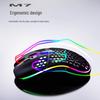 Wireless RGB Honeycomb Gaming Mouse, Lightweight with TYPE-C Charging and Wired Options