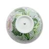 Wedgwood Wanderlust Water Lily Small Ball [Parallel Import]