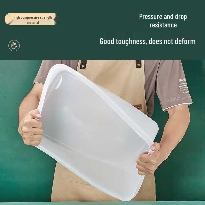 Ally Large Ice Cube Mold & Food Storage Container