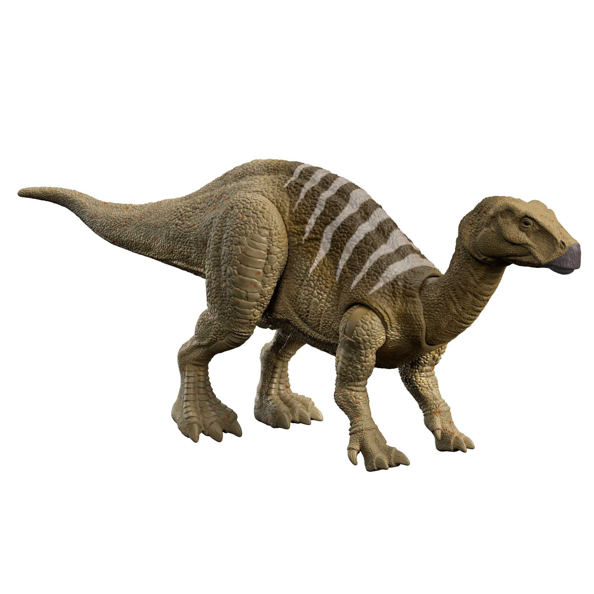 

Mattel Jurassic World New Ruler Action Figure, Roaring Iguanodon (Length: Approx. 29.4cm), Ages 4 and up, HDX41