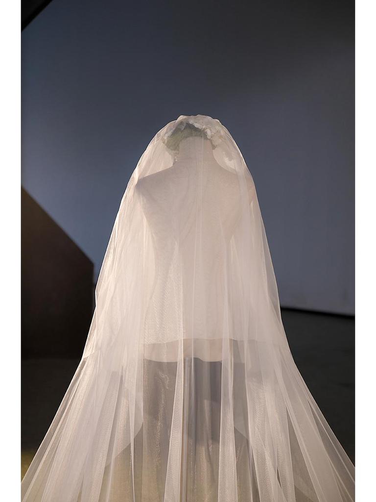 Cathedral Long Train Double Layer Bridal Veil