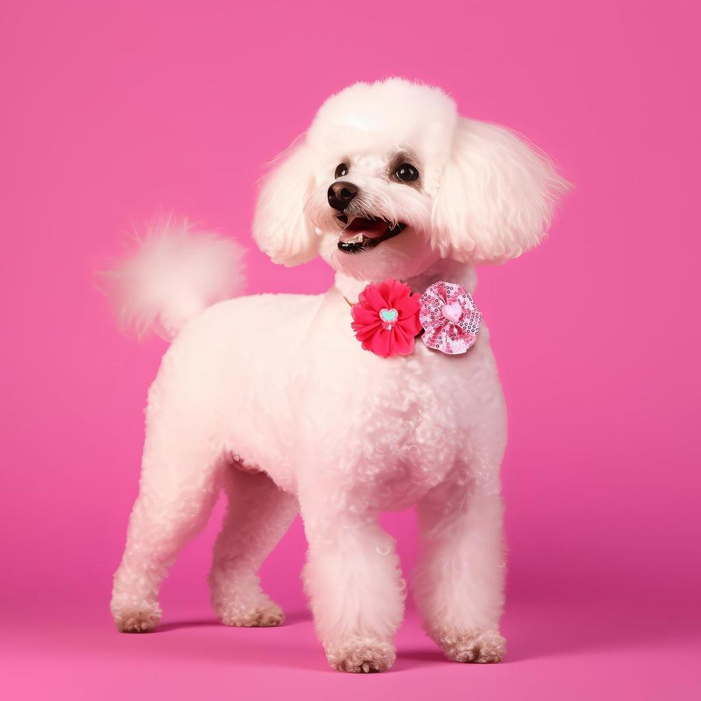 Abbylike 100 Pcs Valentine's Dog Collar Flowers Bows Dog Grooming Collar Bulk Adjustable Pet Bow Tie Cat Puppy Bowtie Charms Flower for Valentine's