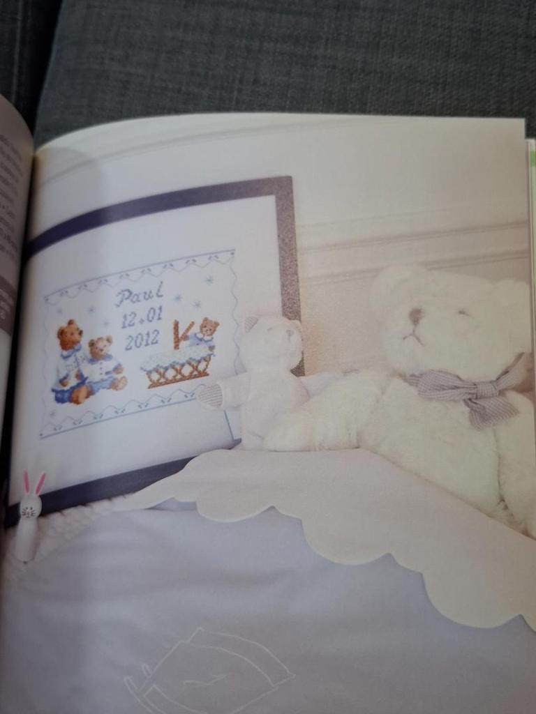 [USED] Broder pour la maison Cross stitch Book