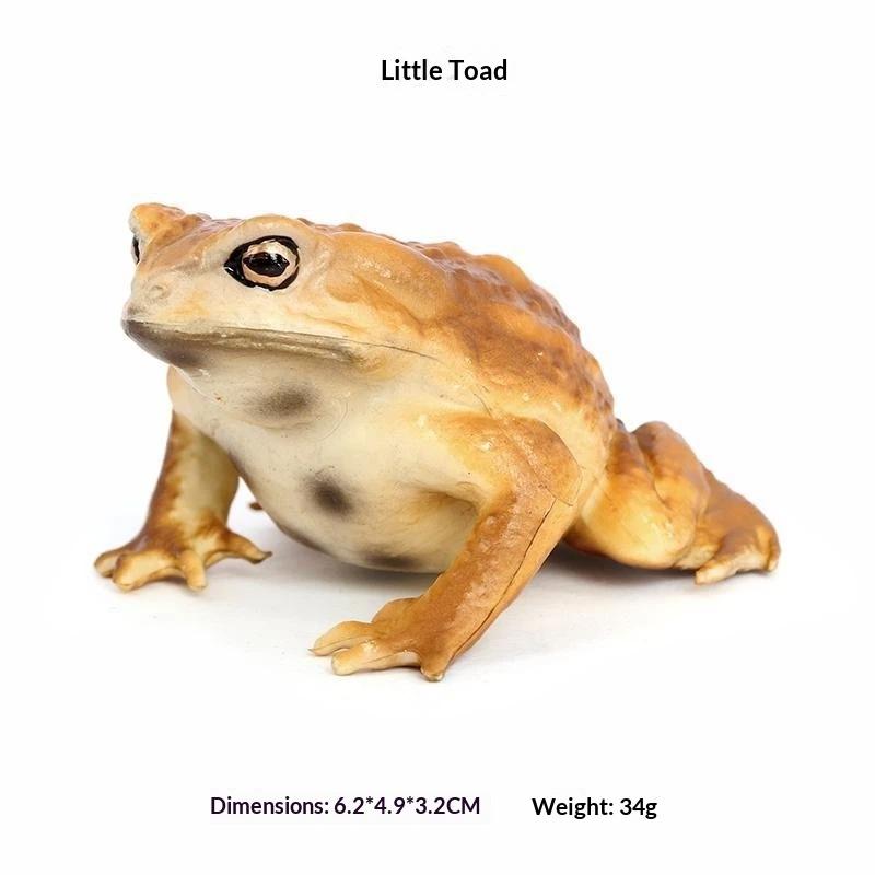 1Pcs Hand Painted Amphibious Animal Figurine Educational Realistic Toad Frog Figure Rubber Animal Model Toy For Kids