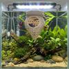 3D-gedruckte schwimmende Fischhängematte Zuchthaus Versteck Aquarium Ruheplattformen Hohlplastik-Fischversteckhöhle Garnelenhabitat