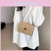Stylish Casual Shoulder Bag 2024 Spring New Aesthetic Chain Crossbody Bag