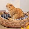 Four Seasons Cat Bed Woven Removable Upholstery Sleeping House Cat Scratch Floor Rattan Washable Cats Pet Products Accessories