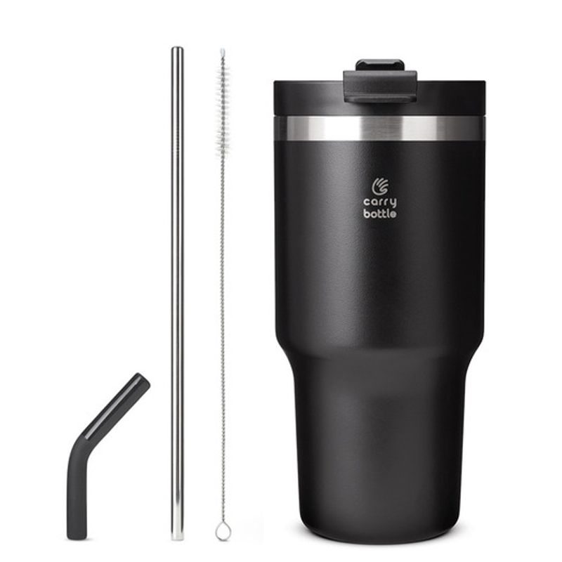 CARRY BOTTLE Summit 600ml 20oz Stainless Steel Tumbler