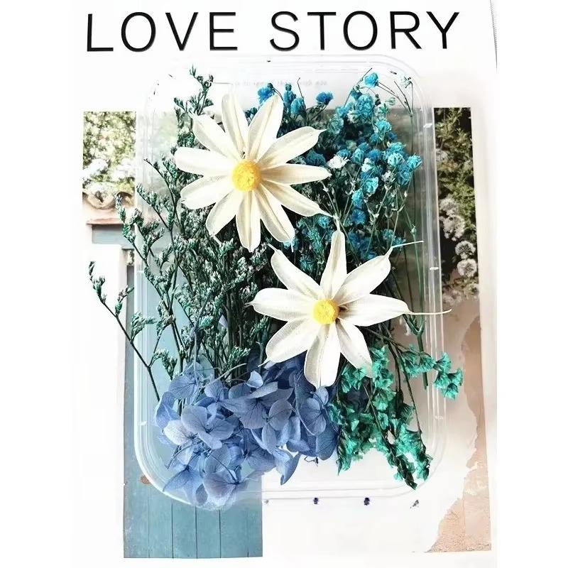 

Сухие цветы DIY флористические материалы Вечный цветок ручная работа свадебное украшение курс цветов искусственный материал упаковка 26X33X14CM синий