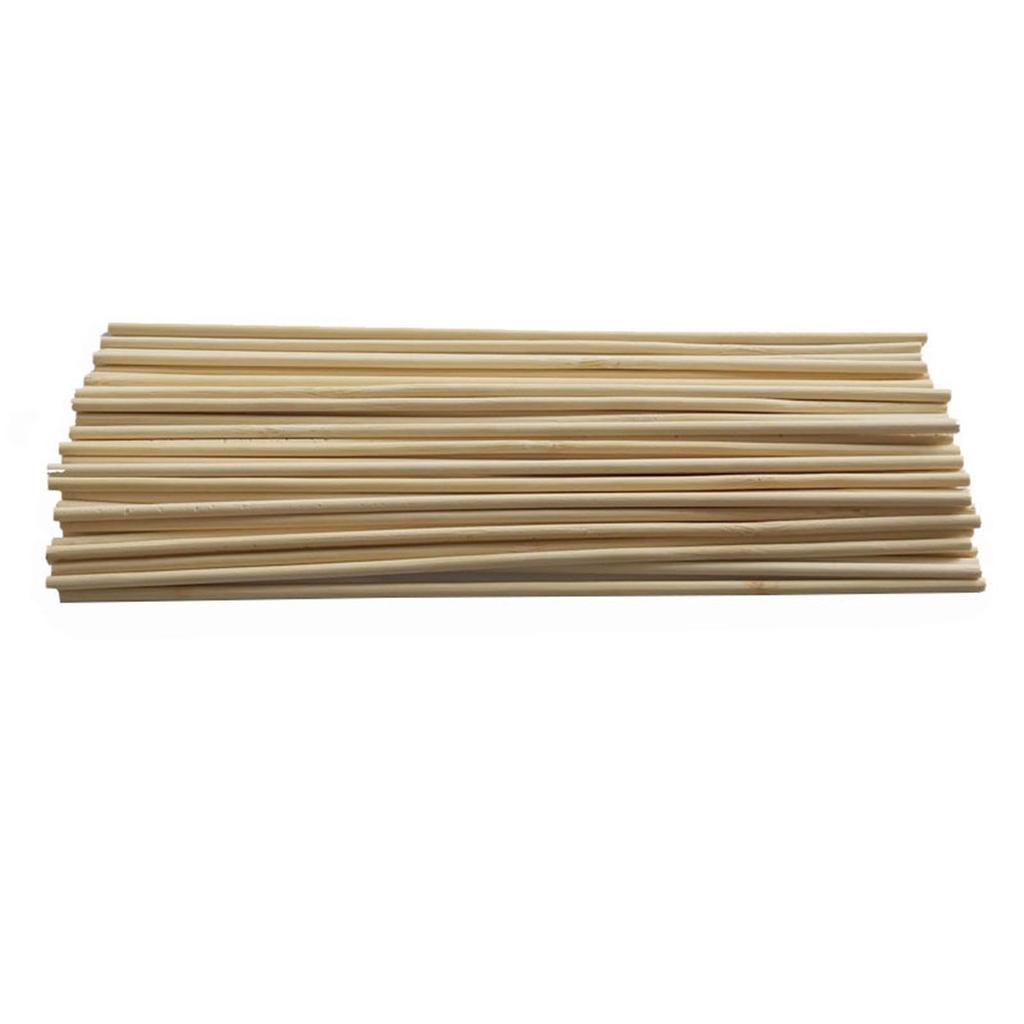 100 Plant Support Rods Gardening Tools Plant Support Rods 3mm * 20cm