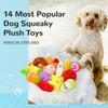 LEGEND SANDY 14 Pack Dog Squeaky Toys Cute Stuffed Plush Snacks and Vegetables Dog Toys for Puppies Small Dogs