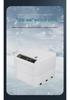 Luding Smart Automatic Egg Incubator for Small Eggs - Compact Household Model