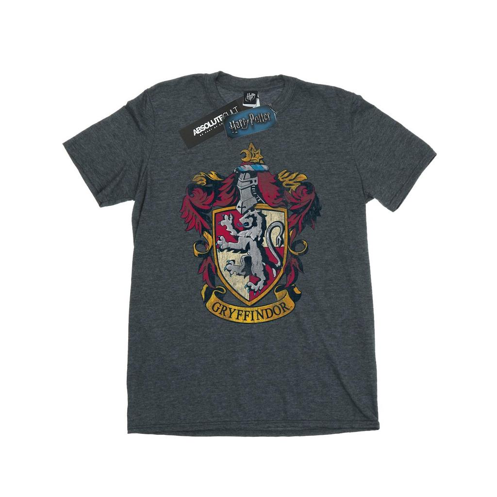 HARRY POTTER Herren Gryffindor Baumwoll-T-Shirt