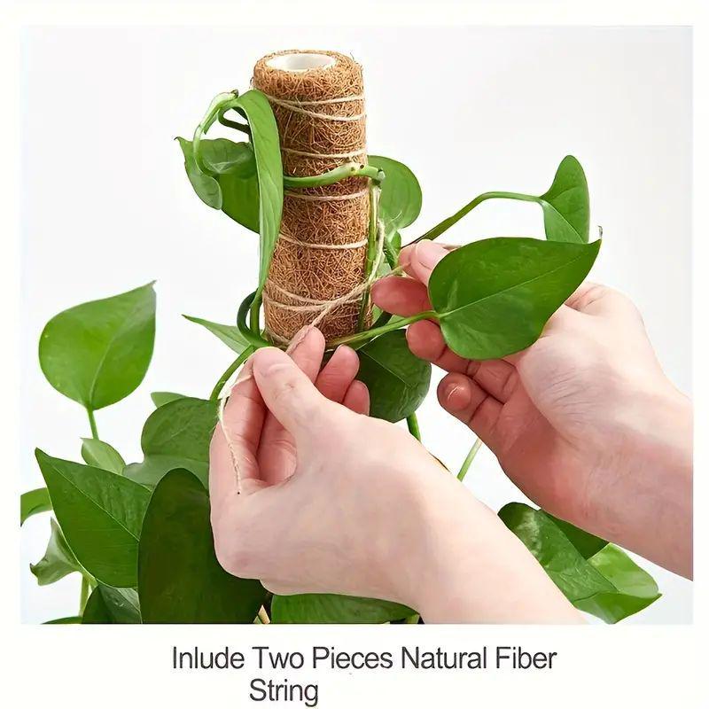 Coconut Palm Stick & Turtle Back Climbing Pole for Plant Support