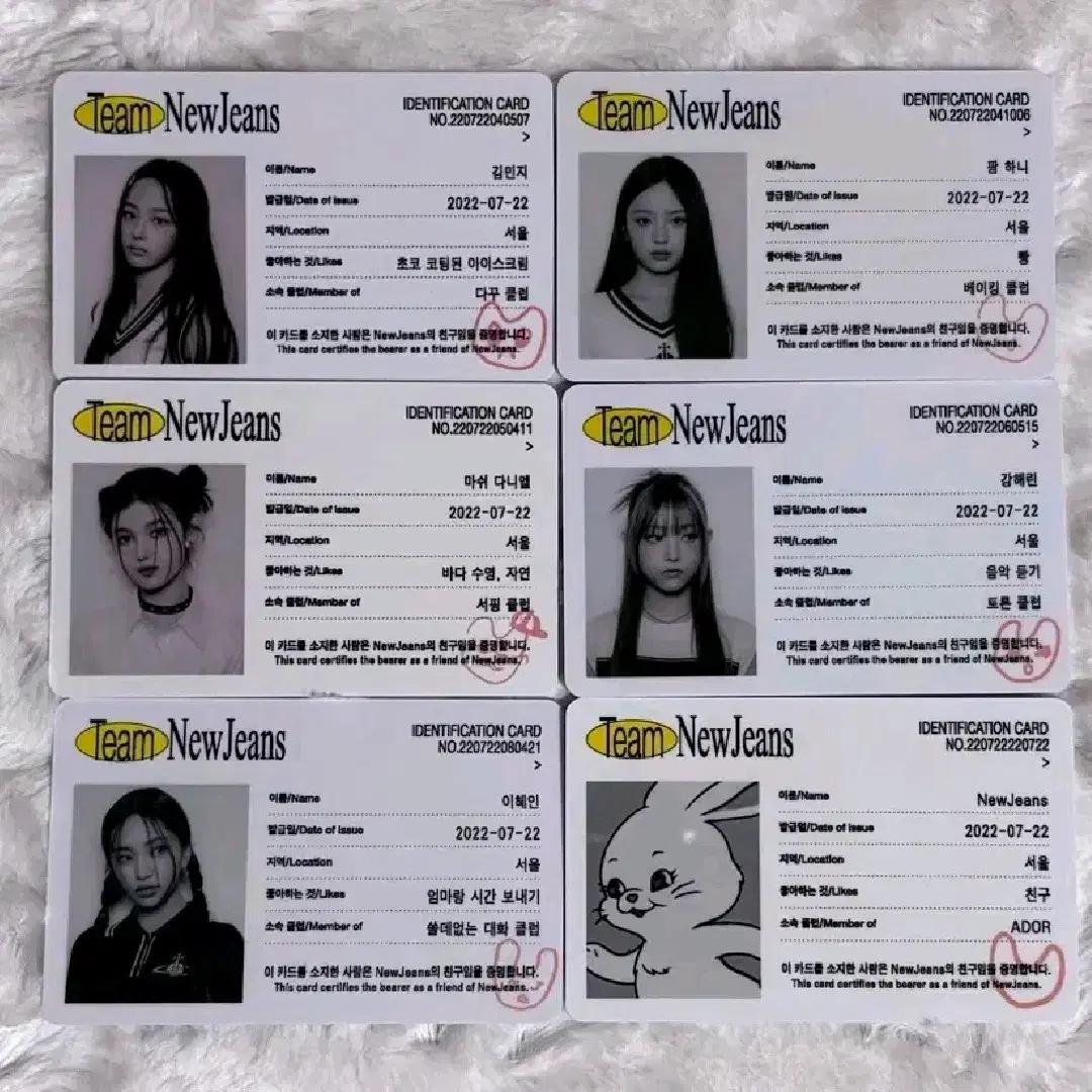 

A Batch Of 6 Types Of Newgins Id Cards, Including Groups