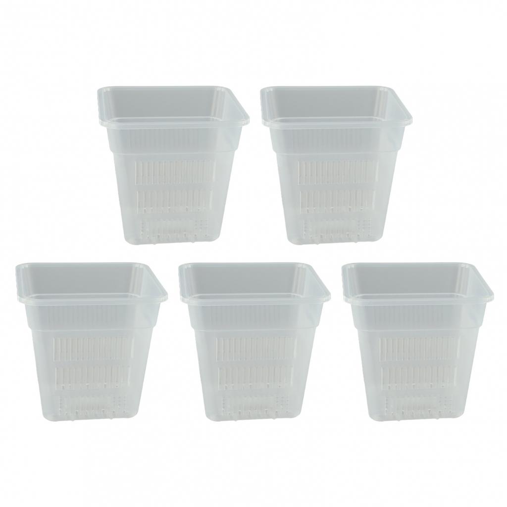 Root Observation Square Pot Designed for Optimal For Plant Growth Conditions