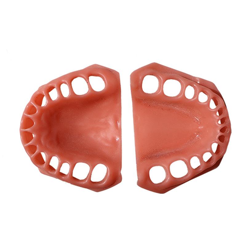 Dental Training Gum Silicone Teeth Dental Model Replacement Simulation Gingiva for Student Dentist Practice Oral Teaching Aid