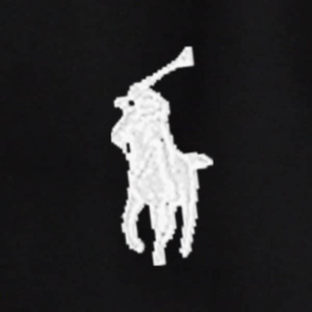 Polo Ralph Lauren Mens Custom Slim Fit Stretch Mesh Polo Shirts Mnpokni1n820210001