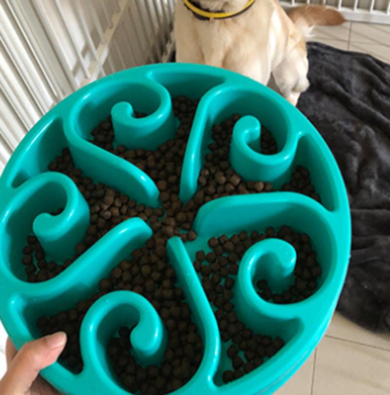 FUNTER FREE PET PAIN PAIN FOOD NON-INDIRECT PET UCHO PET DE PAIN PAIN FOOD FREE PET INTERACTIVE Labyrinth FOR MIDDLE TO MIDDLE SMALL DOGS | DOG FOOD