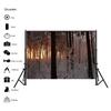 Winter Theme Snow Scene Background Nature Landscape Sky Snowflake Christmas Portrait Prop Party Decoration Banner
