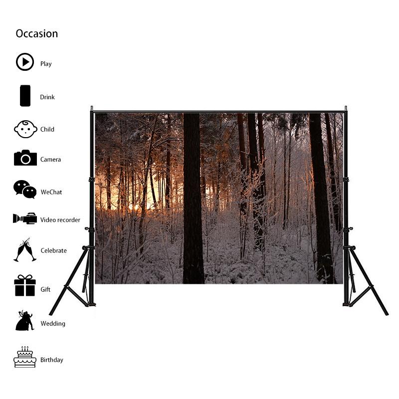 Winter Theme Snow Scene Background Nature Landscape Sky Snowflake Christmas Portrait Prop Party Decoration Banner