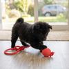 Round Shape Dog Chew Ball Cotton Rope Pet Rope Ball Small Dog Play Ball  Outdoor Fetch Game