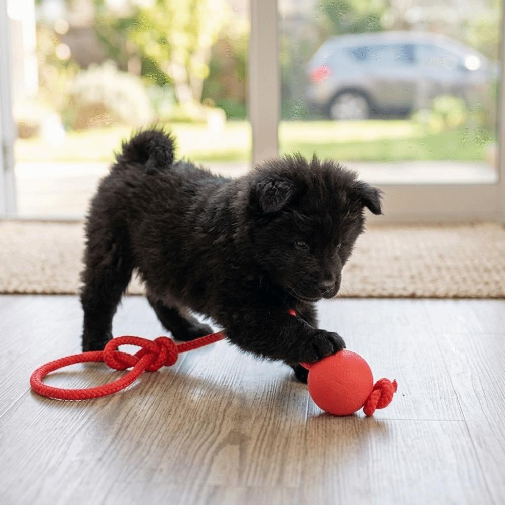 Round Shape Dog Chew Ball Cotton Rope Pet Rope Ball Small Dog Play Ball  Outdoor Fetch Game