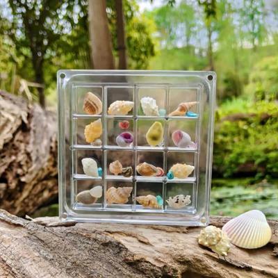 16-Fächer Muschel-Displaybox mit Magneten Langlebige Muschel-Aufbewahrungsbox Acryl-Aufbewahrungs-Display-Organizer-Box