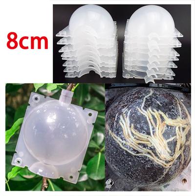 5pcs 8cm Fruit Plant Tree Rooting Ball Root Box Plastic Case Transparent Grafting Rooter Growing High-pressure Breeding