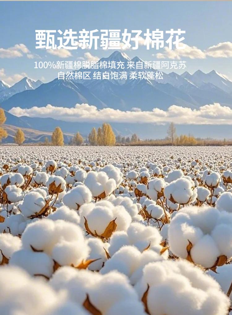 Xinjiang Pure Cotton Quilt for Spring, Autumn, Winter, and Students