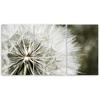 Three Piece Picture Canvas Print Blower White Flowers
