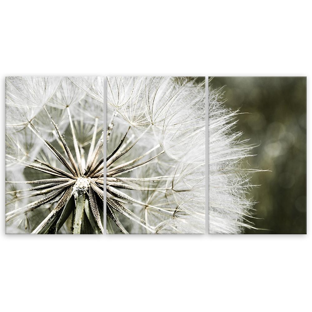 Three Piece Picture Canvas Print Blower White Flowers