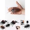 Creepy Crawling Insect Remote Control Toy With Infrared For Scare Gift And Party Fun