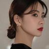 Copper Star Flash Crystal Summer Small Fresh Female 2022 New Trendy Personality Earrings