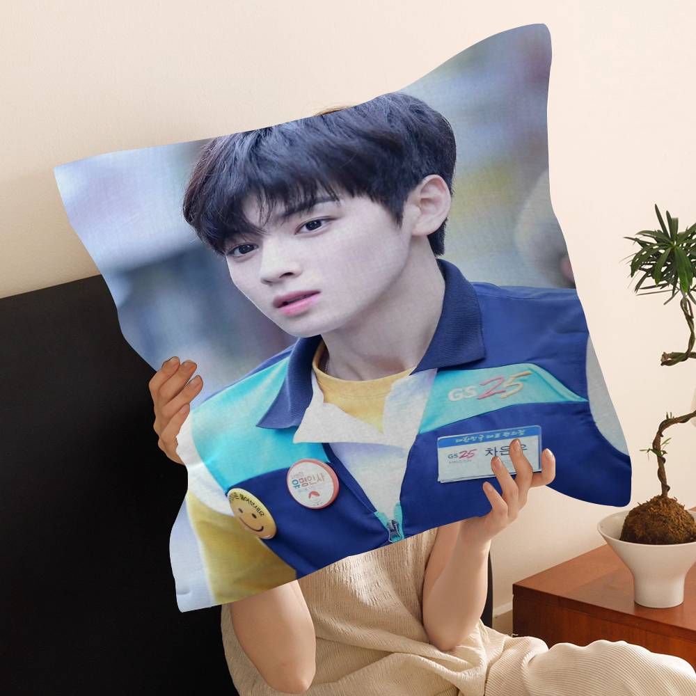 Singer C-Cha EunWooS Cushion Cover Decorative Pillow Sofa Home Decor Case Pillow Cases