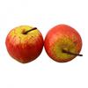 10Pcs Mini Simulation Super Small Apples  Plastic  Home Decor