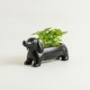Dachshund Planter Cute Plant Pot Decorative DogShaped for Shelf, Patio, Balcony