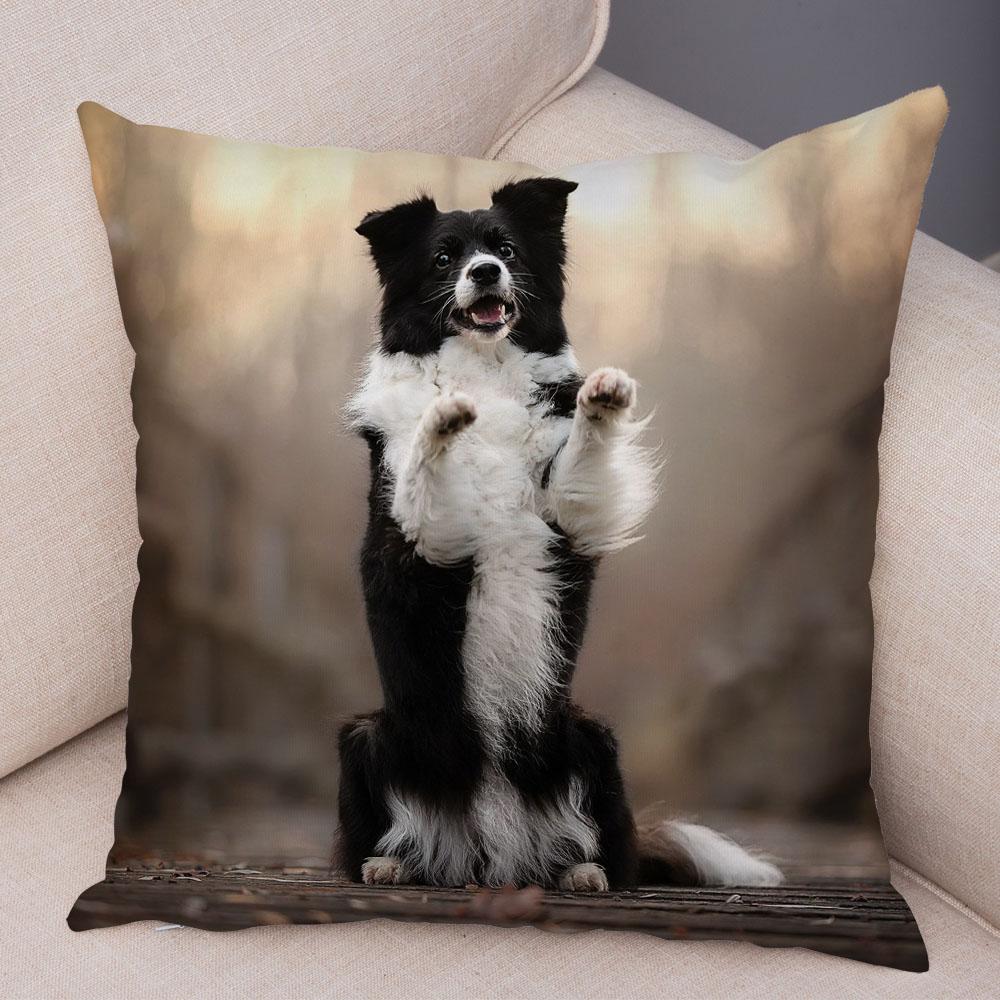 Cute Pet Animal Dog Print Pillowcase Scottish Border Collie Cushion Cover  Sofa Car Decoration