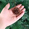 6Pcs/Bag Christmas Natural Pine Cones Rustic Pinecones Bulk Ornaments with String Crafting Home Accent Decor Tree Decoration