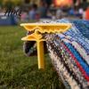 Beach Blanket Fixing Stake 4Pcs Towel Clip Stake Windproof Outdoor Picnic Clips Sand Spikes Portable Holder Mat Clamps