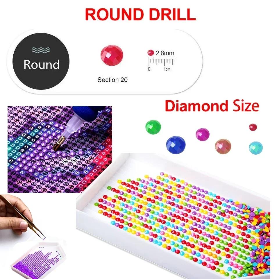 Schattige Egel Diamant Schilderen Kunst Dierenpatroon voor Volwassenen Beginners DIY Likes Diamant Mozaïek Margriet Klaproos Bloem Handgemaakt Cadeau