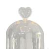 Clear Glass Cloche Dome Bell Jar Dustproof Display Case Flower Cover with Wooden Base