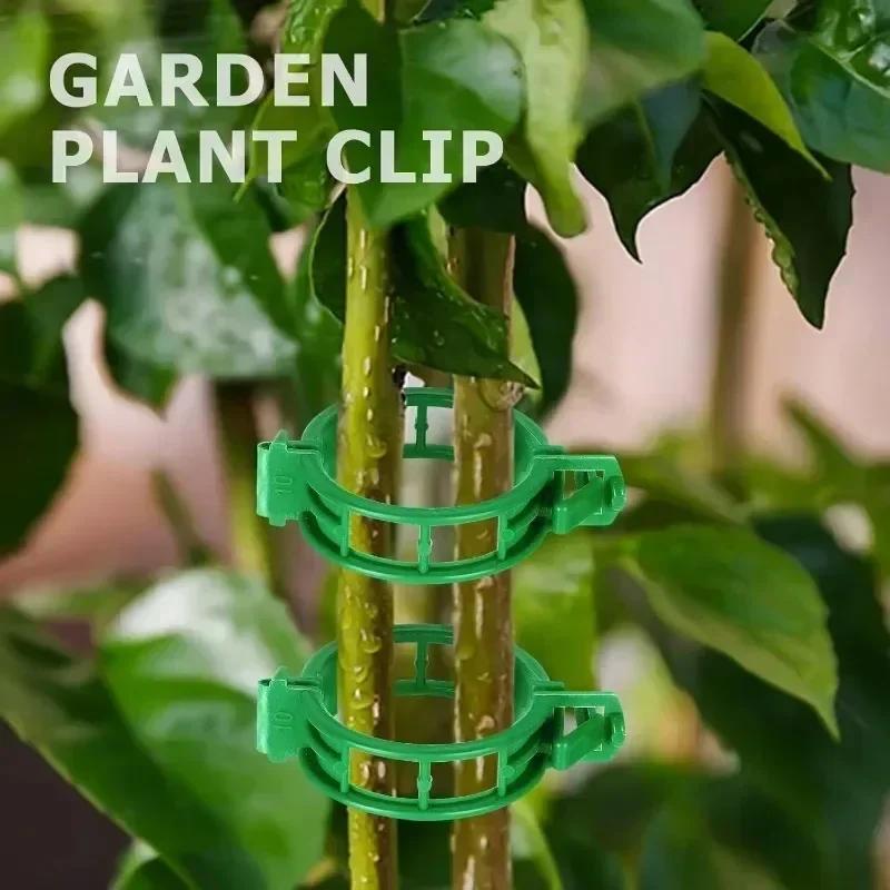 Reusable Plastic Plant Support Clips Garden Vine Strapping Fixing Clip for Climbing Tomato Grape Vegetables Stalk Holders Buckle