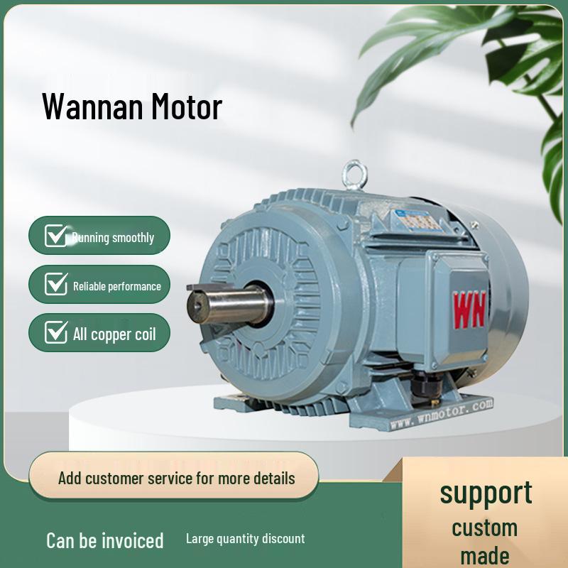 Wannan Motor TYCP2 Serie Dreiphasen-Frequenzumrichter-PMS-Motor