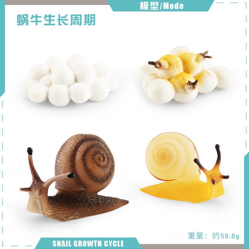 Detailed Pvc Insect And Animal Model Toys Snail Dragonfly Mosquito Grasshopper Realistic Life Cycle Stages