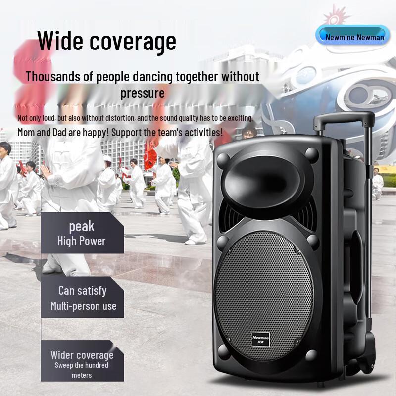 Newsmy B12 Portable 12-inch Bluetooth Trolley PA Speaker CN plug (adapter included) (CN version)